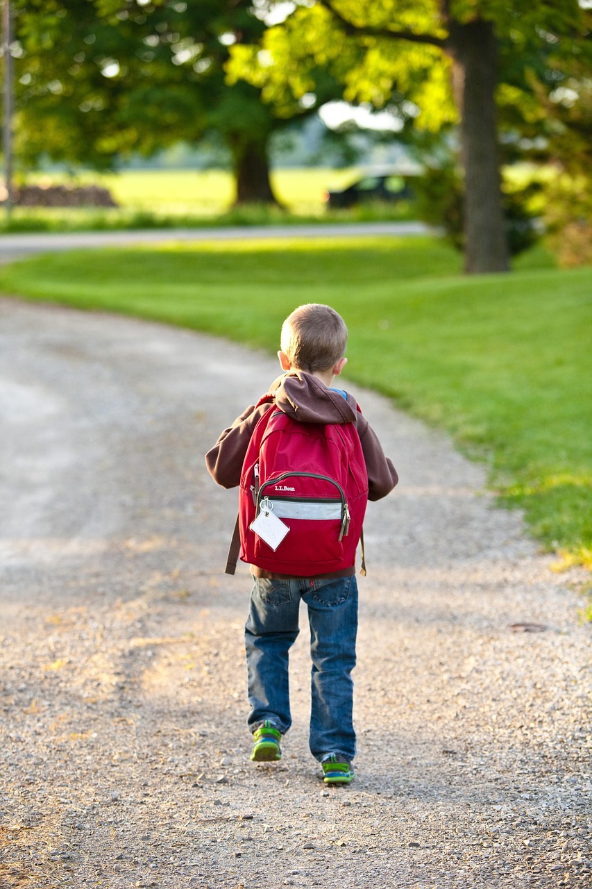 school, backpack, childhood, education, bag, elementary, student, young, boy, walking, school, backpack, backpack, backpack, backpack, backpack, student, student, student, student